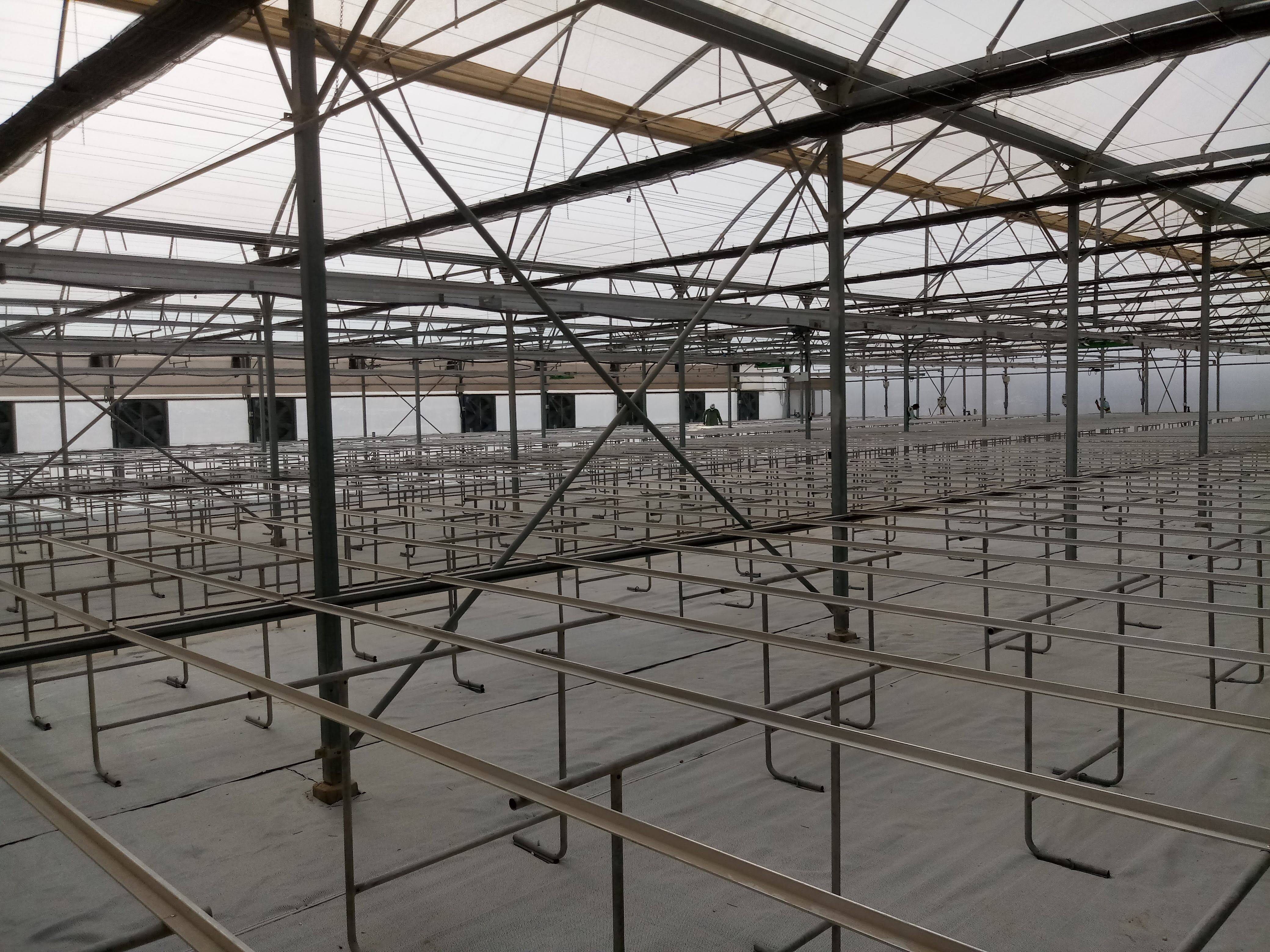 Greenhouse Project