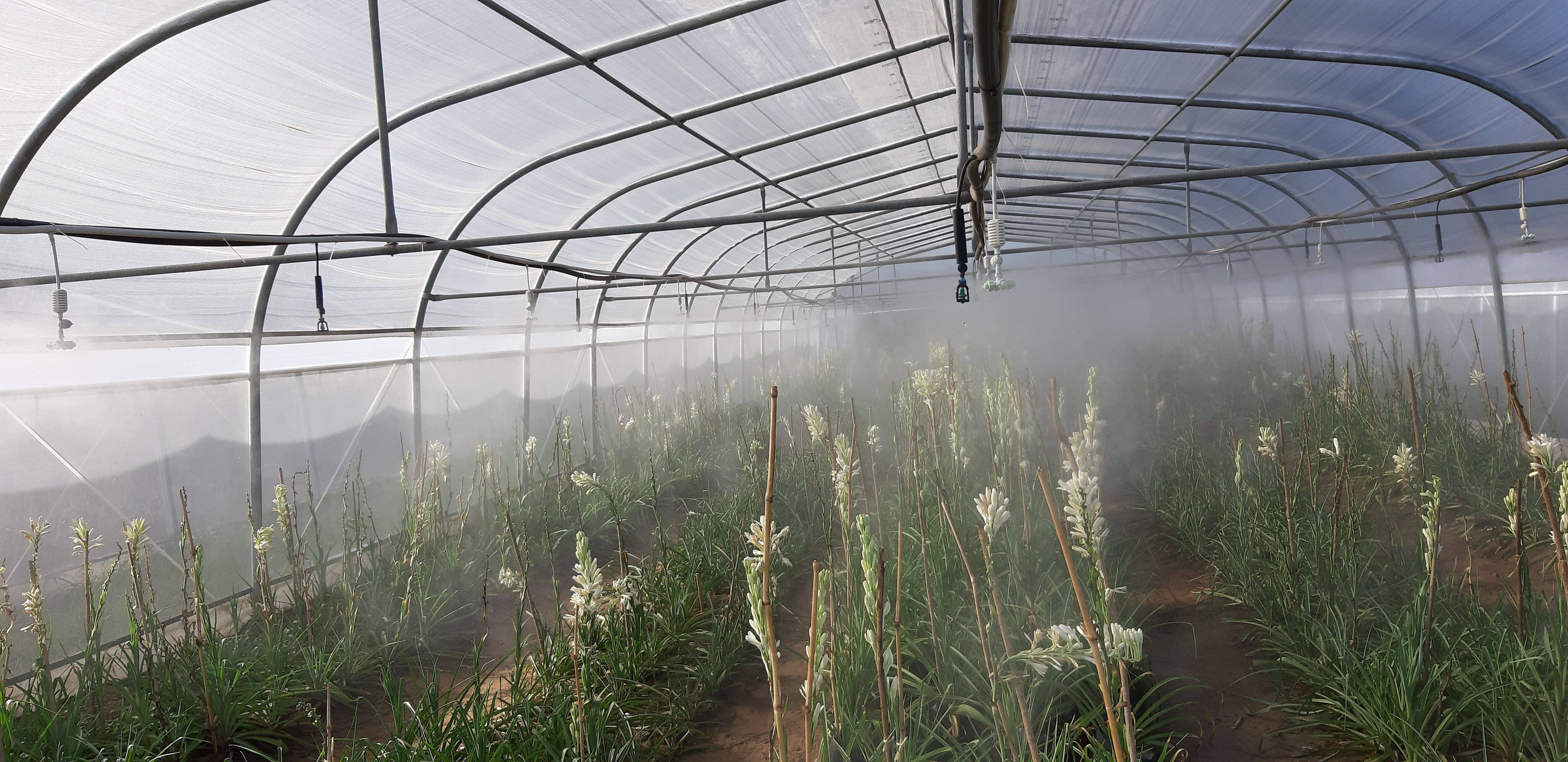 Irrigation Project