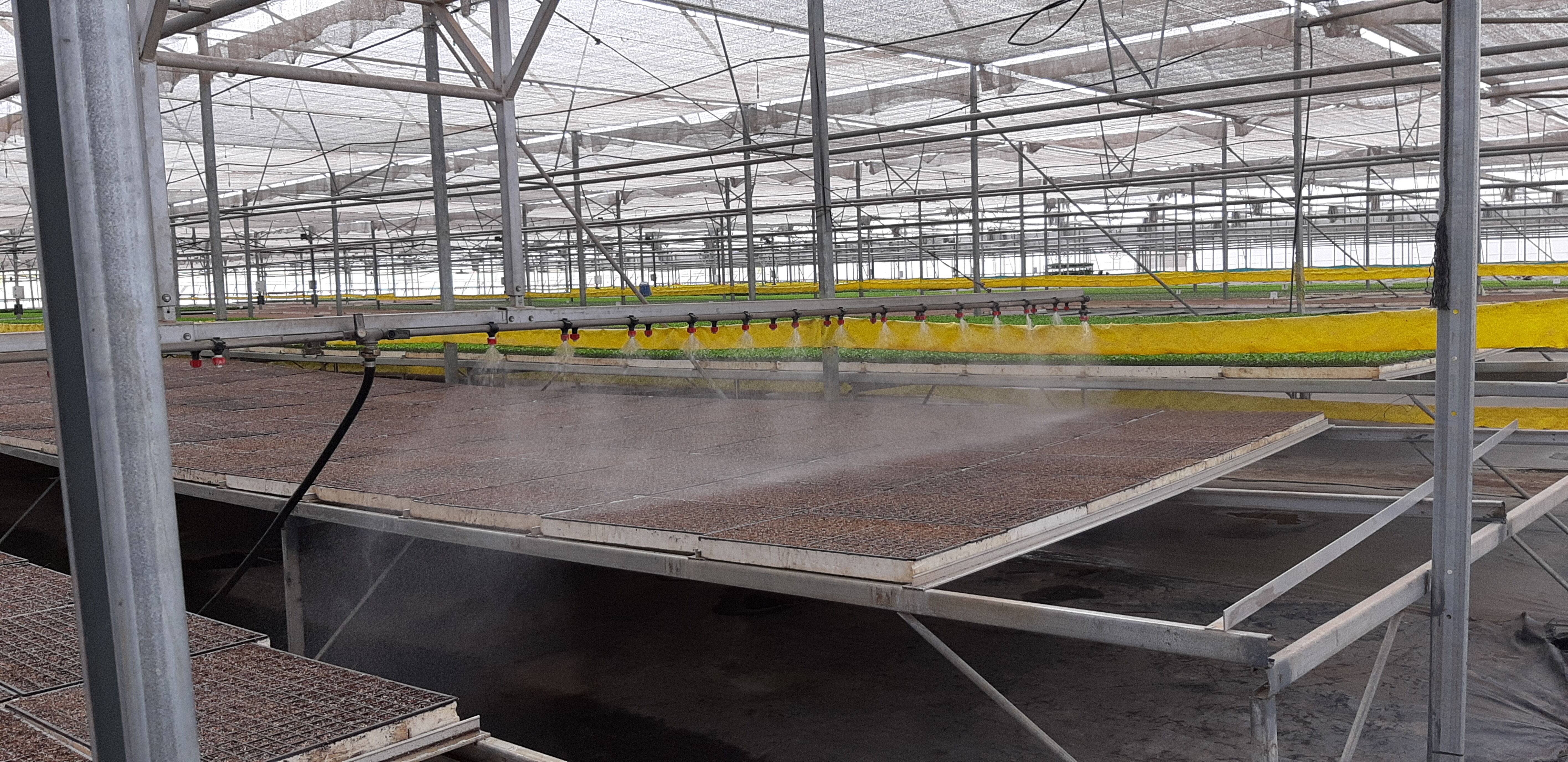 Chemical Spraying